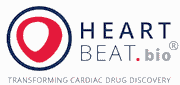 heartbeat-bio-and-biotx-ai-sign-license-and-technology-access-agreement-to-identify-novel-targets-in-heart-failure